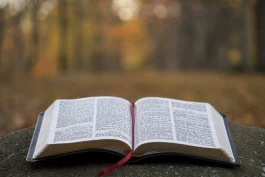 Société Biblique de Maurice (SBM) – Recrutement